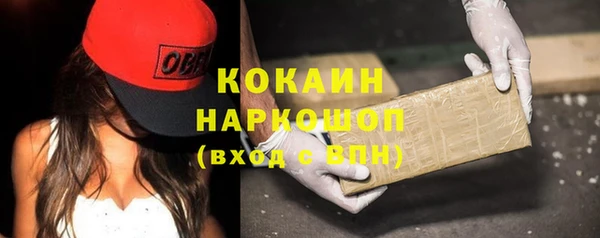 дживик Мегион